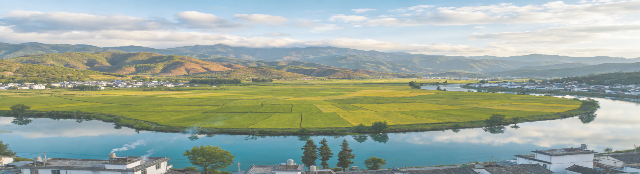 图片3.png 图片3.png